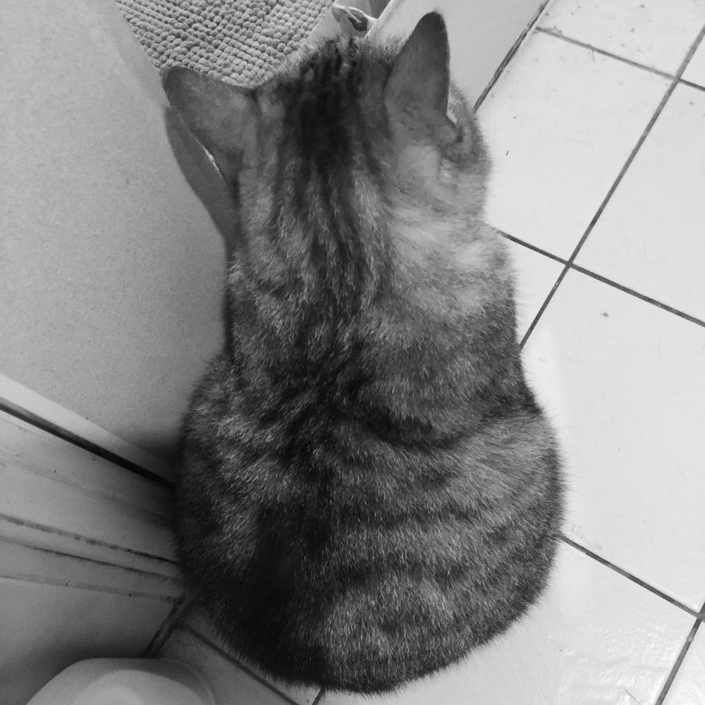 Insta babe 26
 #101074955