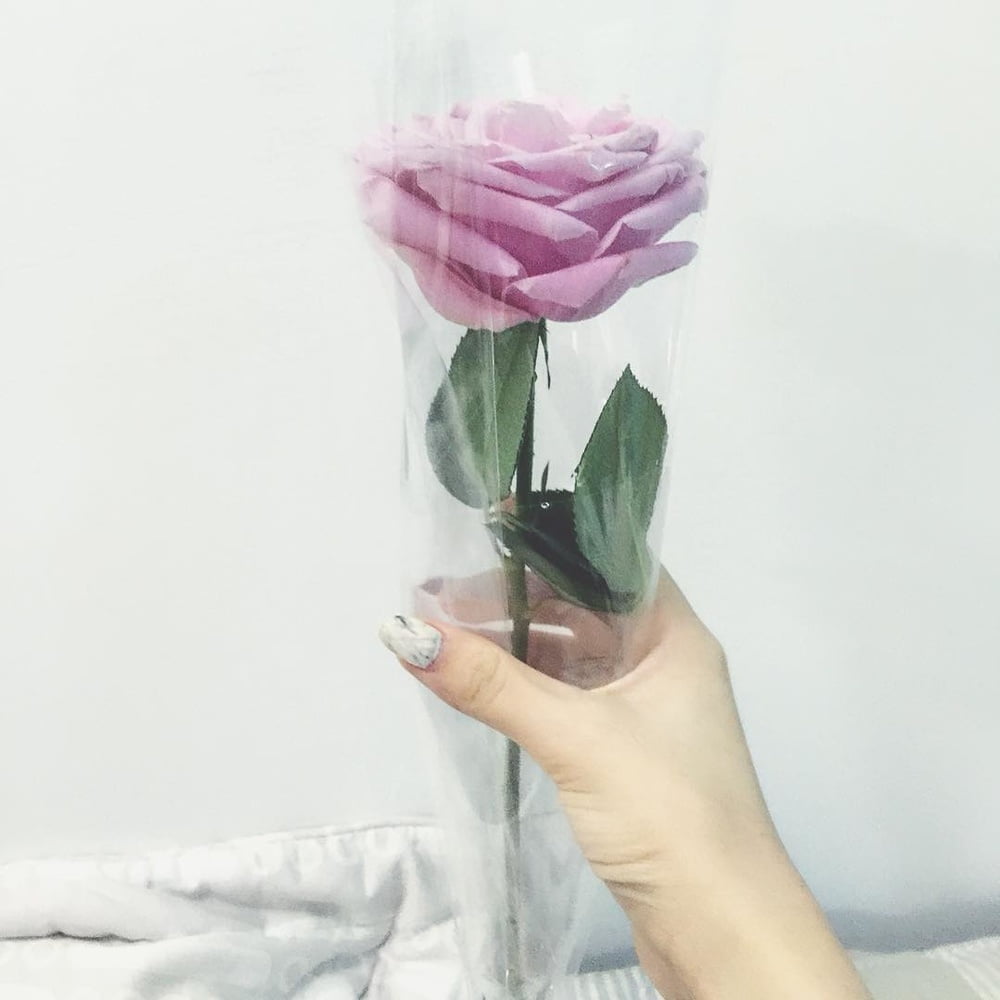 Insta babe 26
 #101074958