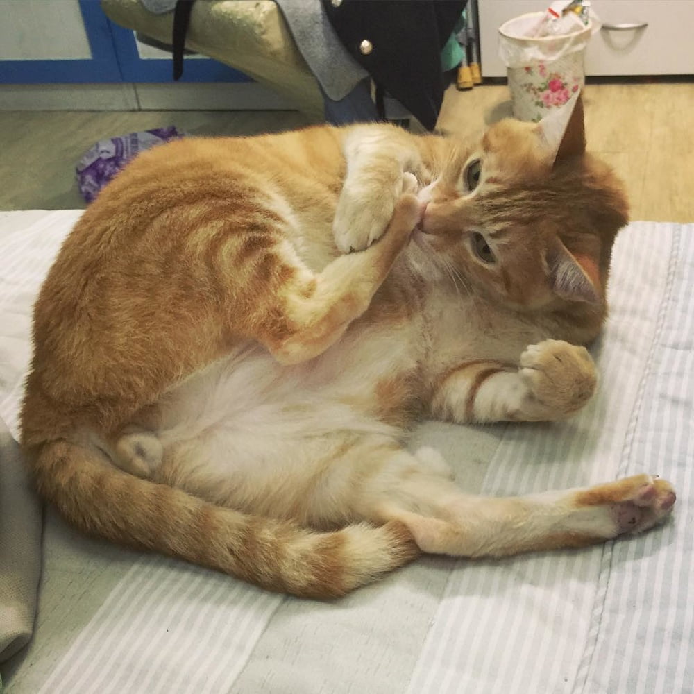 Insta babe 26
 #101075000