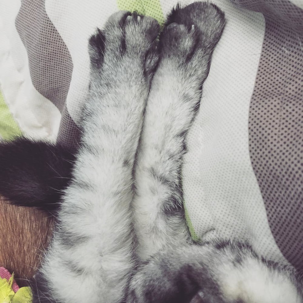 Insta babe 26
 #101075021