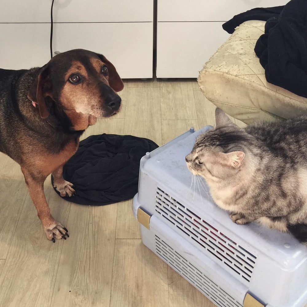 Insta babe 26
 #101075036