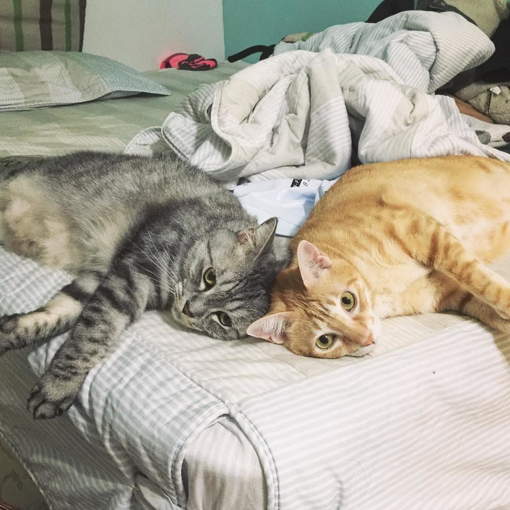 Insta babe 26
 #101075140