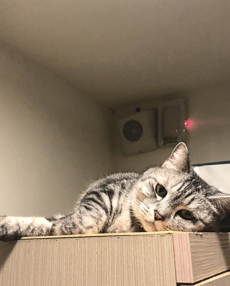 Insta babe 26
 #101075169