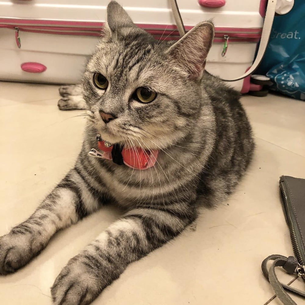 Insta babe 26
 #101075230