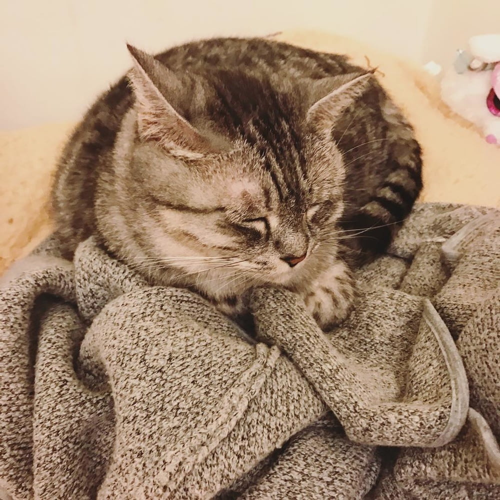 Insta babe 26
 #101075252