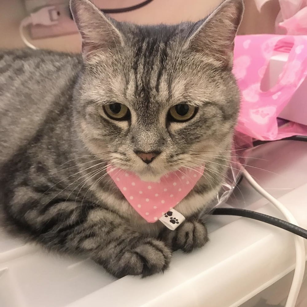 Insta babe 26
 #101075267