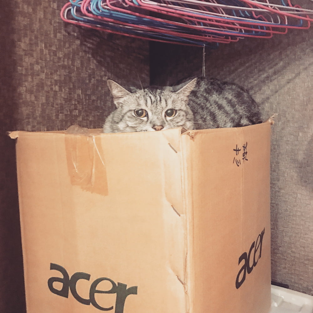 Insta babe 26
 #101075313