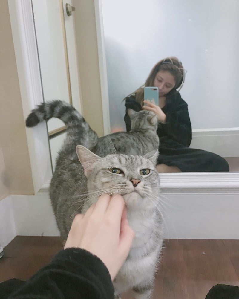 Insta babe 26
 #101075347