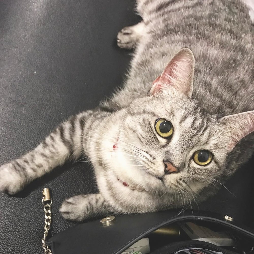 Insta babe 26
 #101075395