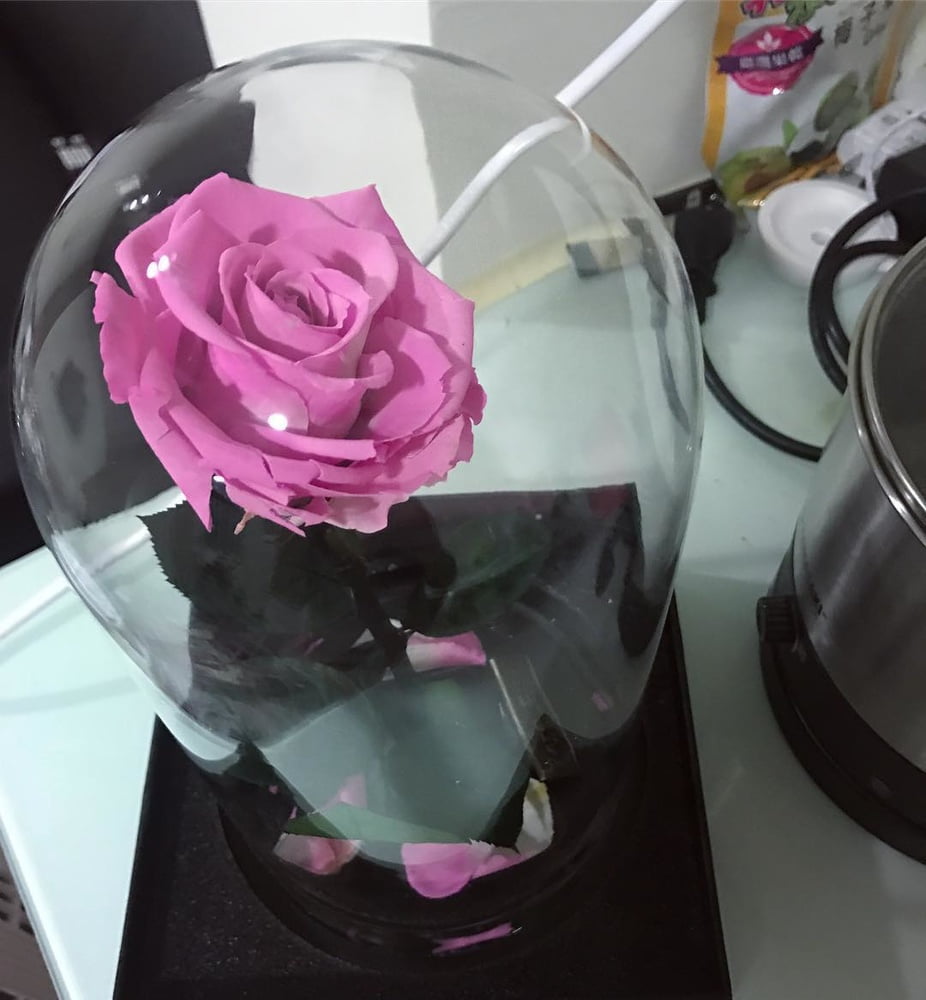 Insta babe 26
 #101075398