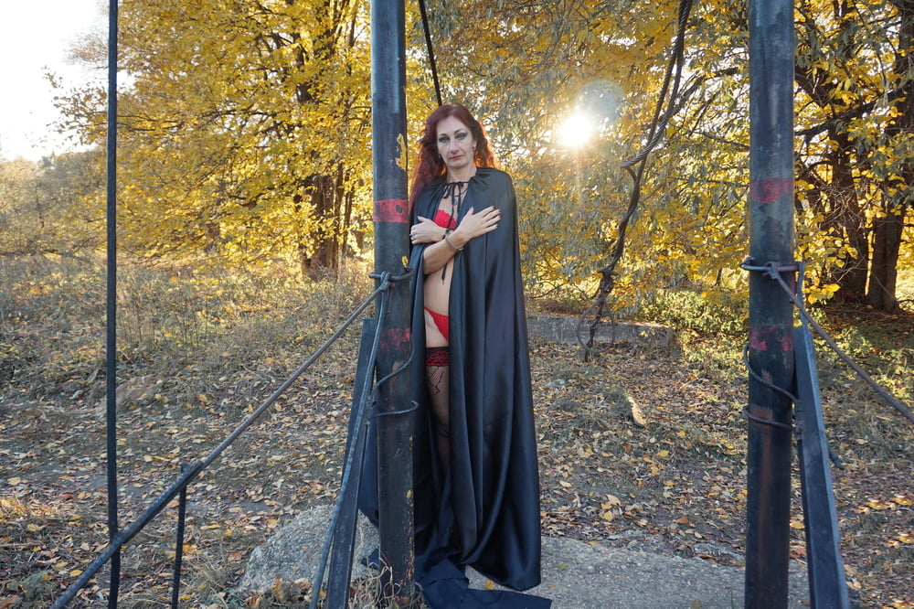 Halloween #107019476