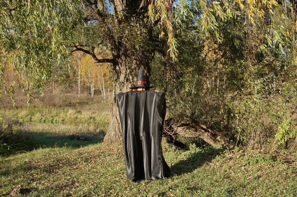 Halloween #107019477