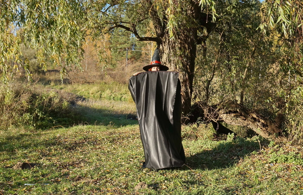 Halloween #107019479