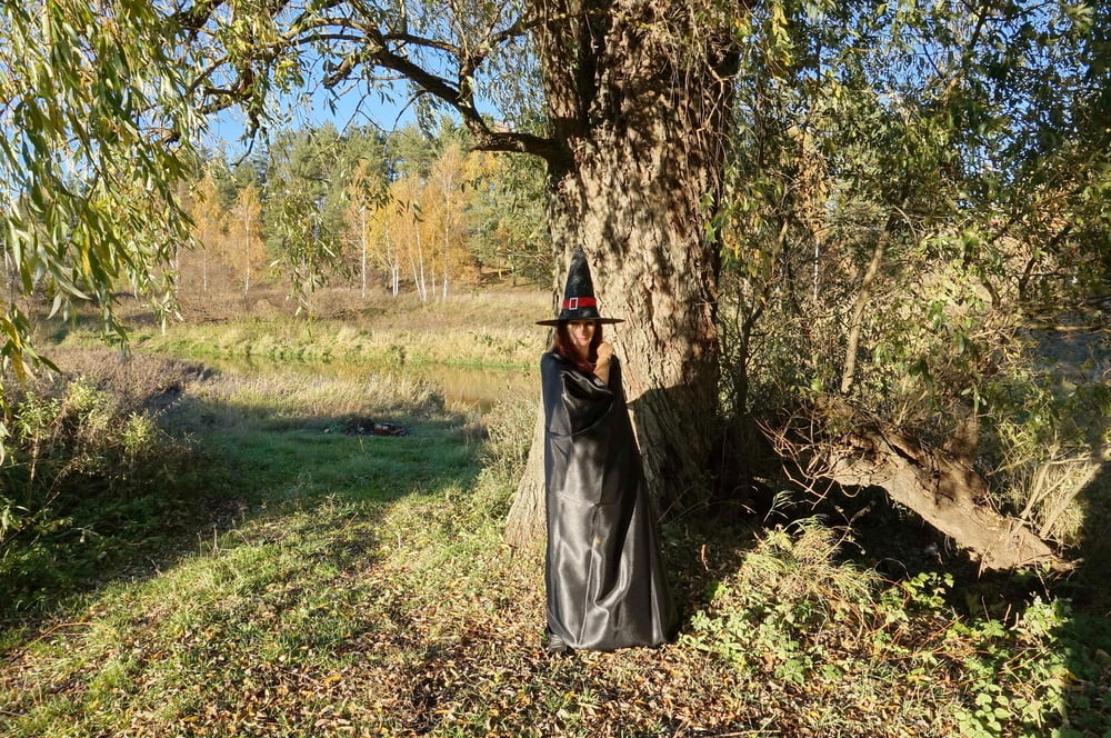 Halloween #107019491