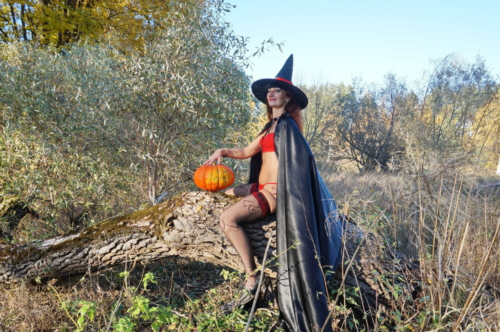 Halloween #107019499