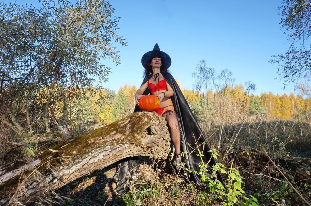 Halloween #107019504