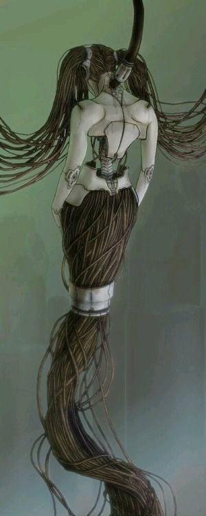 女性の形
 #81095940