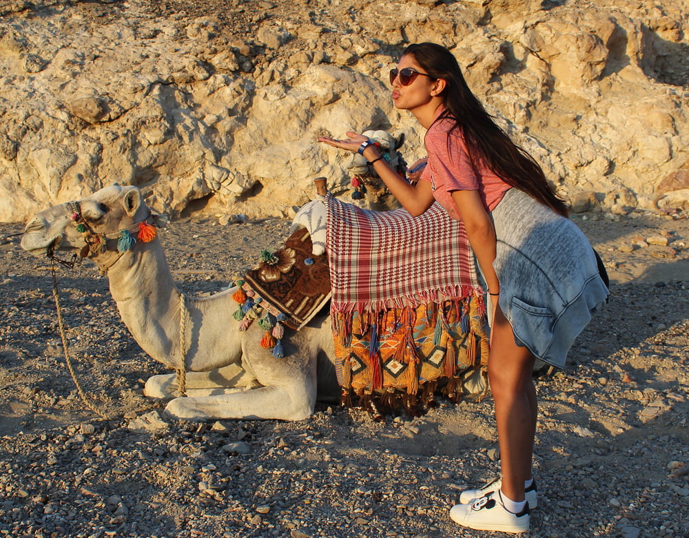 Yeliz Koc Tuerkenschlampe #96745224