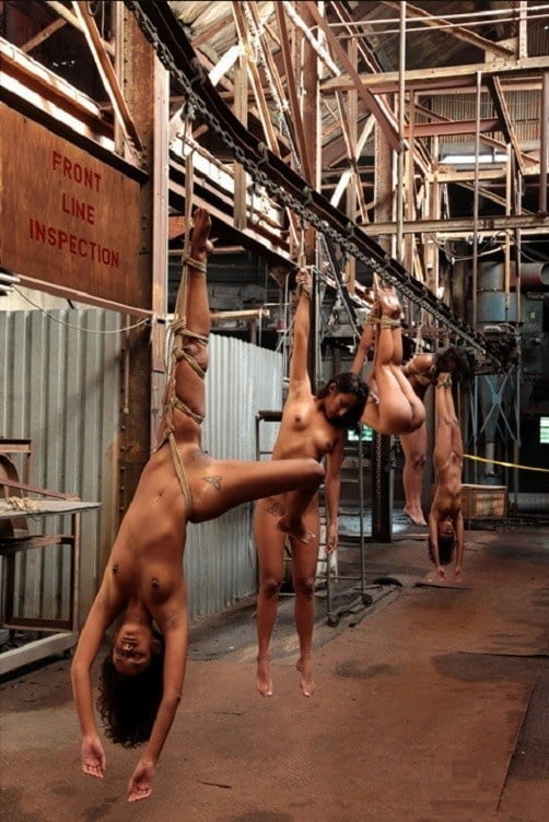 様々なポルノ
 #91031419