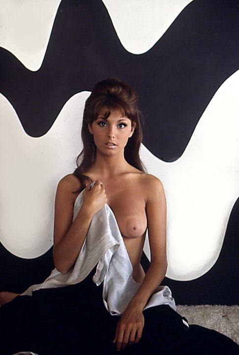 1960s &amp; 70s Babe Angela Dorian aka Veronica Verti Collection #90414748