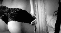 Monochrome magnificence
 #99611880