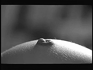 白黒(GIFミックス)
 #95374896