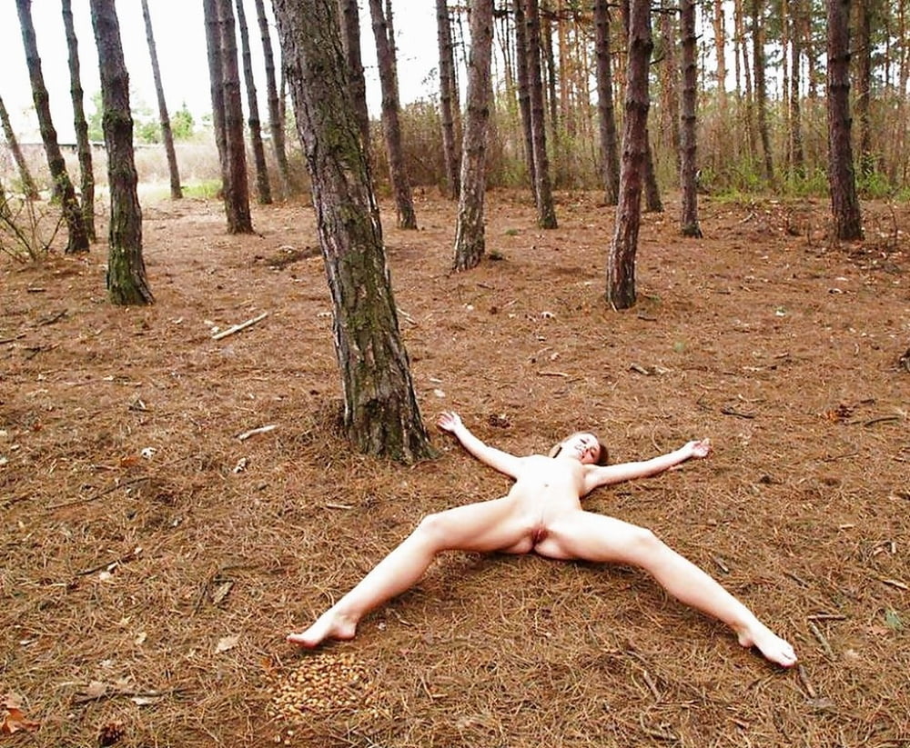 Tree Huggers 334 #100604398