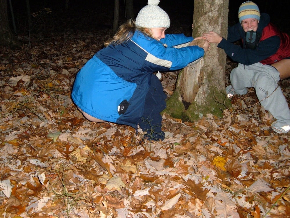Tree Huggers 334 #100604437