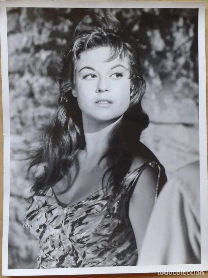 チネチッタ
 #94666744