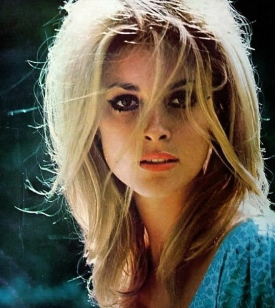 Sharon tate
 #89334686