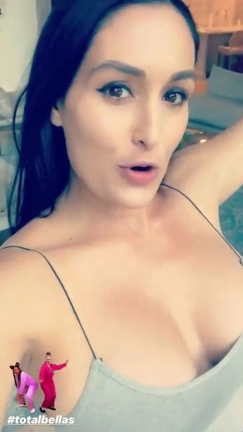 Wwe Nikki Bella #100057853