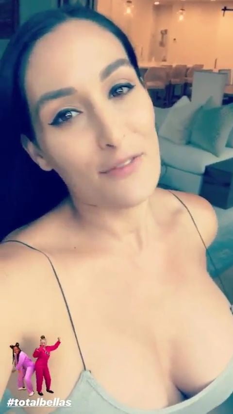 Wwe Nikki Bella #100057932