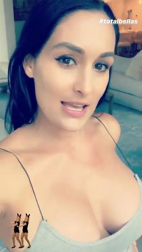 Wwe Nikki Bella #100057940