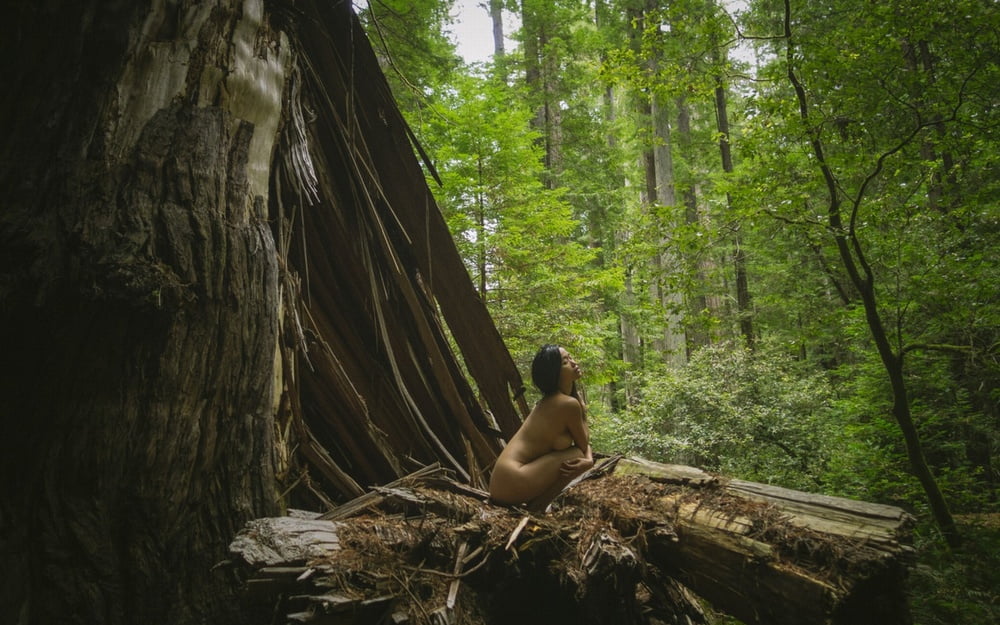 Tree Huggers 384 #88809798