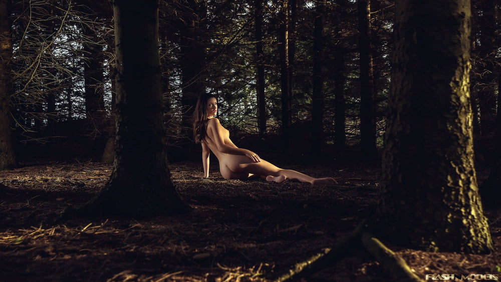 Tree Huggers 359 #94065504