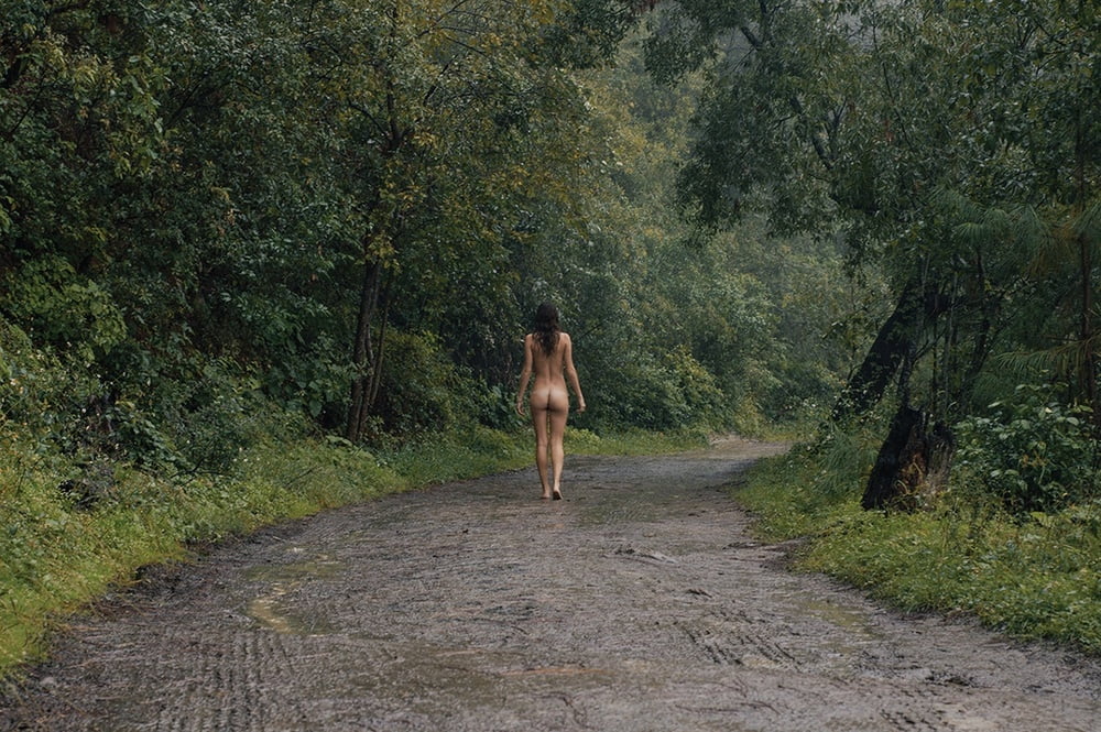 Tree Huggers 359 #94065771