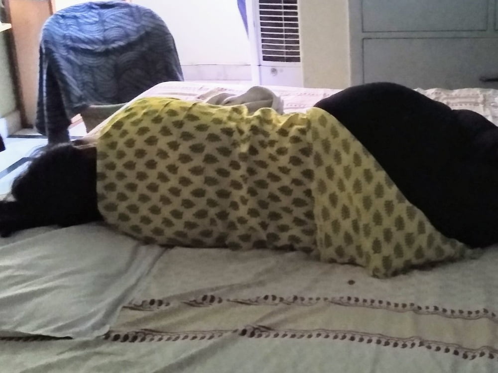 Indian Asses February Edition Part 2 #104877700