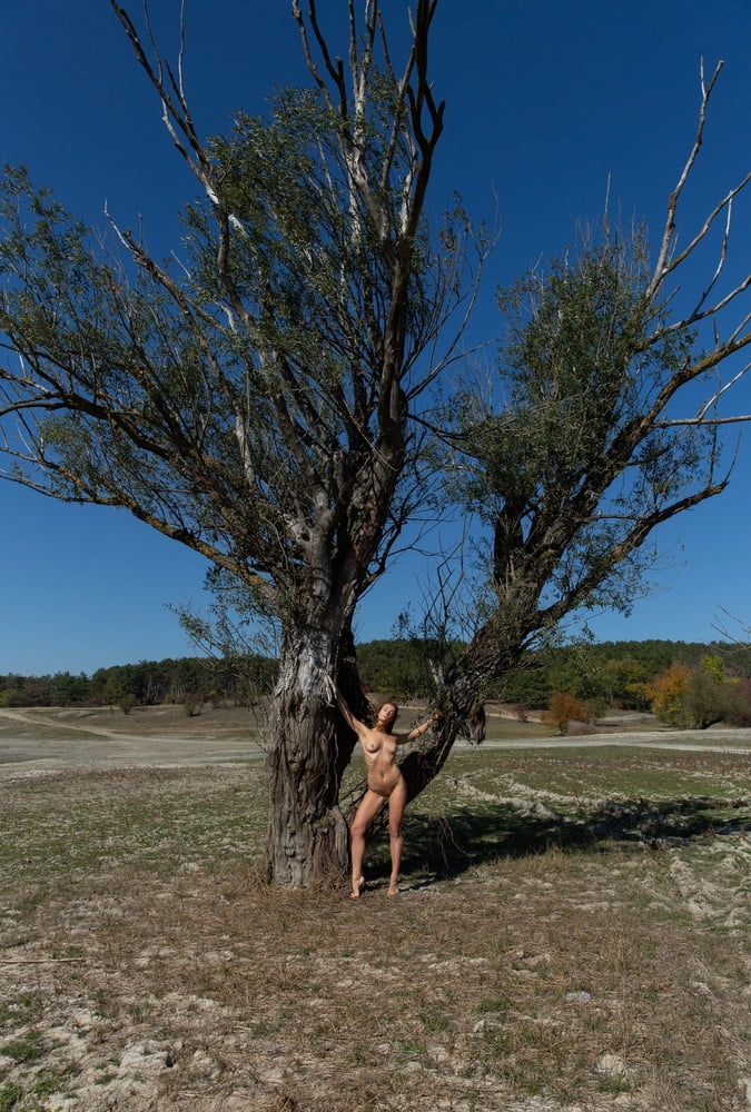 Tree Huggers 372 #91114458