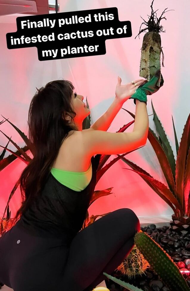 Sssniperwolf desnuda #107850570