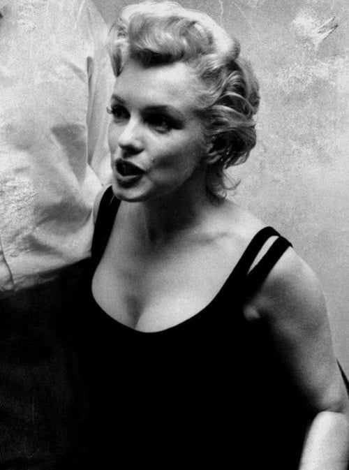 Marilyn Portraits #105962300