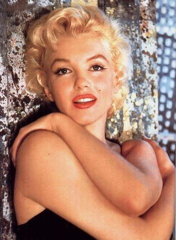 Marilyn Portraits #105962329