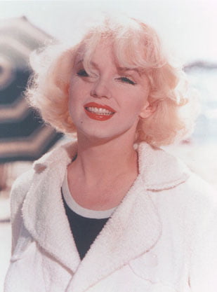 Marilyn Portraits #105962336