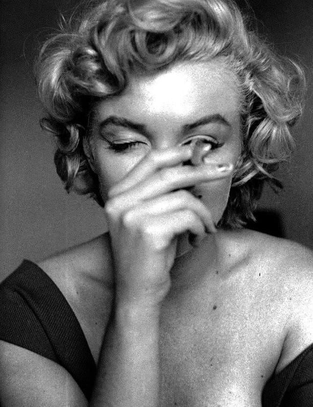 Marilyn Portraits #105962371