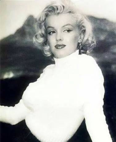 Marilyn Portraits #105962374