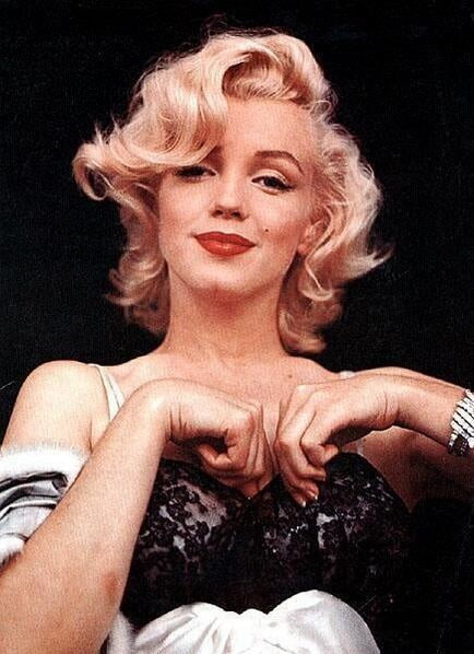 Marilyn Portraits #105962377