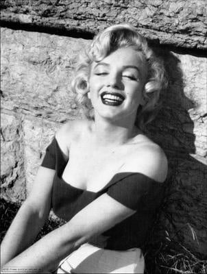 Marilyn Portraits #105962386