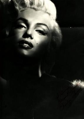 Marilyn Portraits #105962387