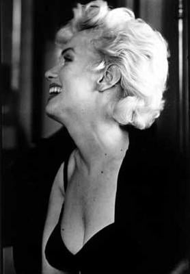 Marilyn Portraits #105962389