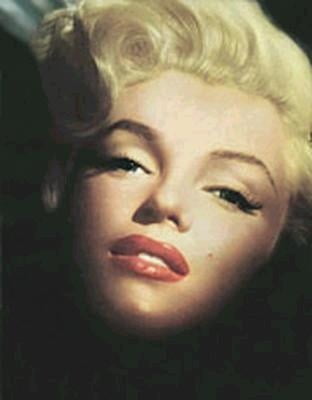 Marilyn Portraits #105962401