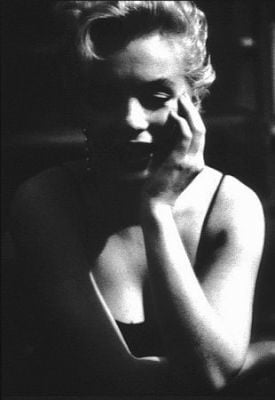 Marilyn Portraits #105962407